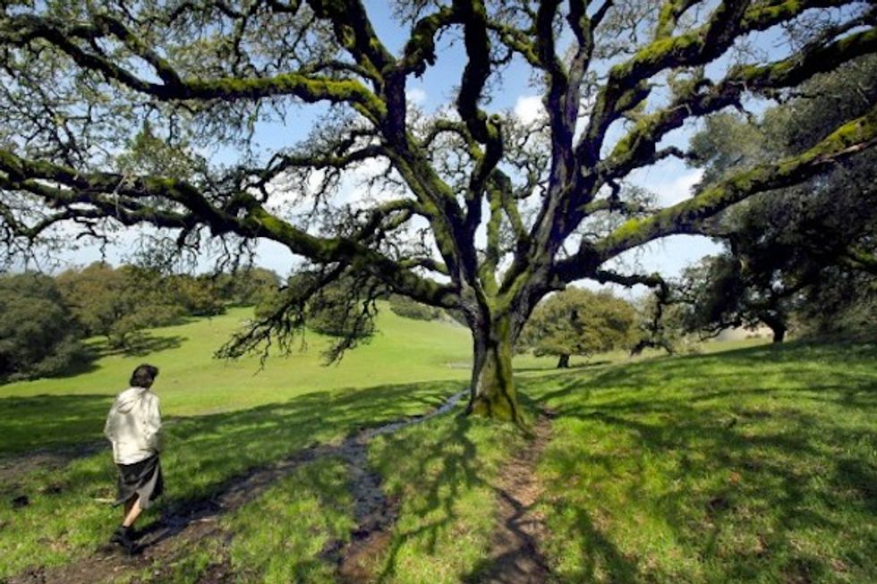 5 Beautiful Wine Country Hikes