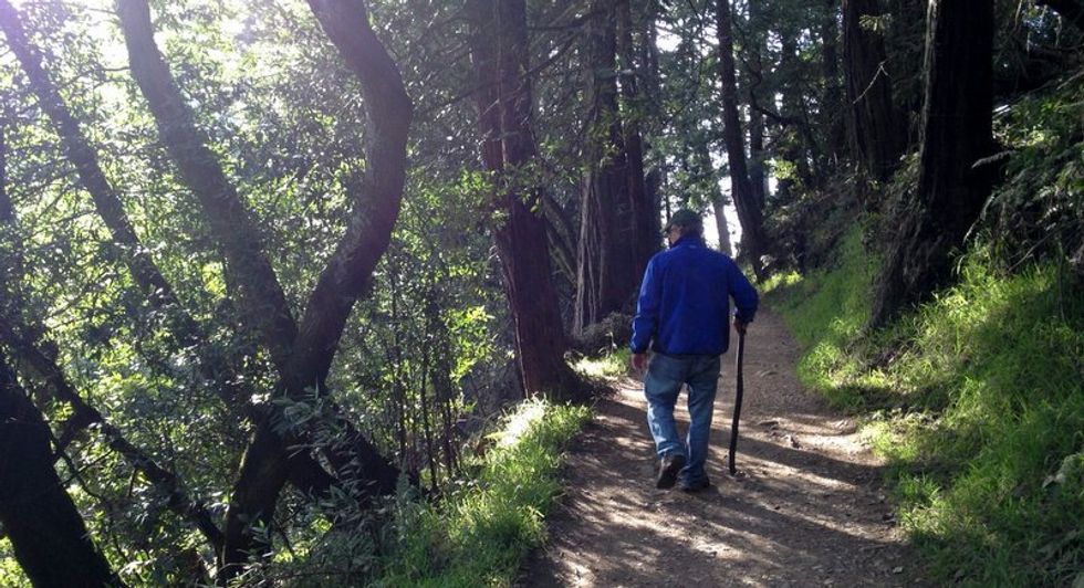 Hike Among Redwoods in the Oakland Hills