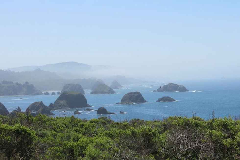 The Explorer’s Guide to Mendocino