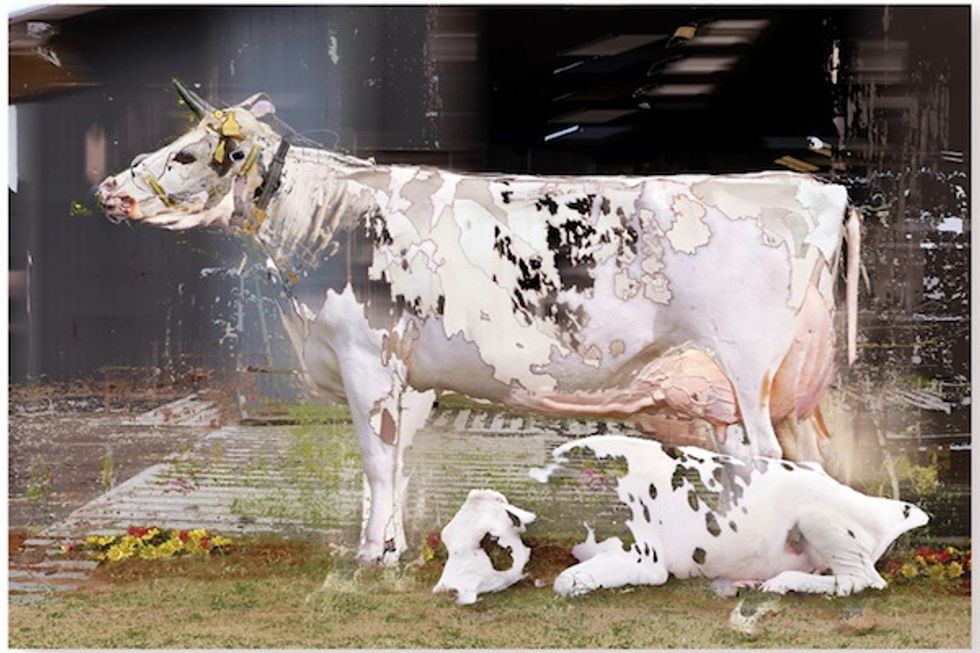 Art Market San Francisco to Open at Fort Mason