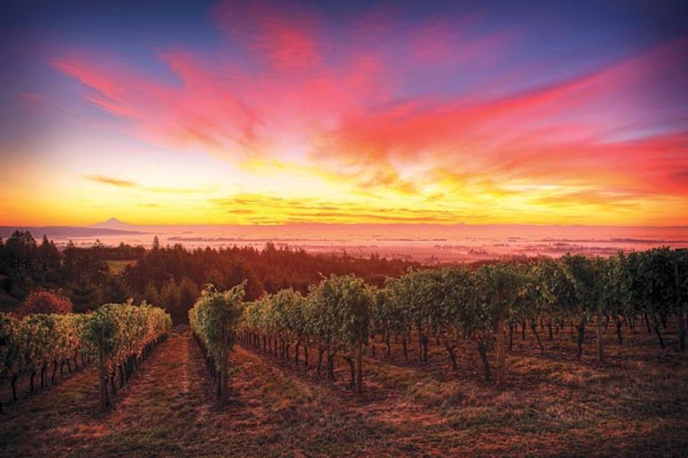 5 Best Places for Sunset Dining in Wine Country