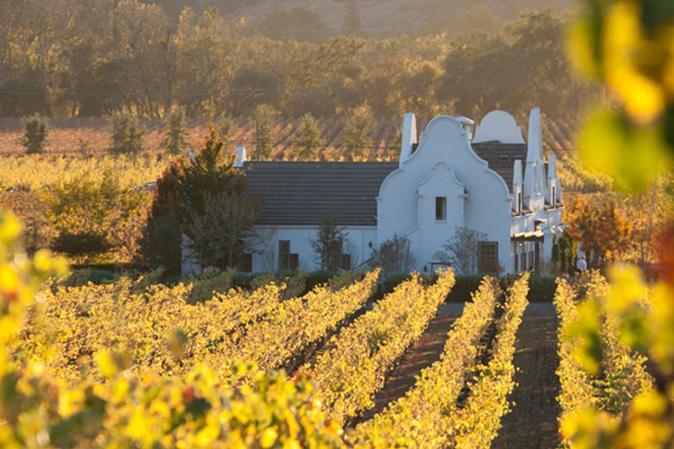 Sip, Paint, and Revel at Napa Valley Arts in April 7x7 Bay Area