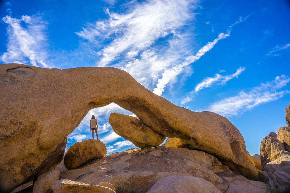 The Ultimate Road Trip Guide to Joshua Tree
