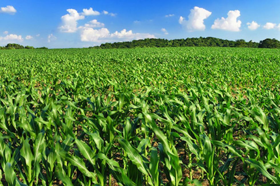 Royse Law Incubator Wants to Bridge Tech and Agriculture