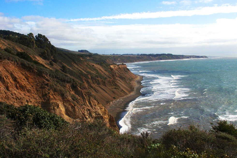 Best Marin Beaches for Swimmers, Families, Boozy Brunchers & More - 7x7 Bay  Area