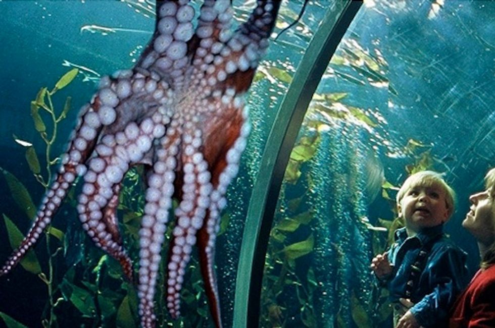 Get Your Earth God(dess) on With These Fun Earth Day Events