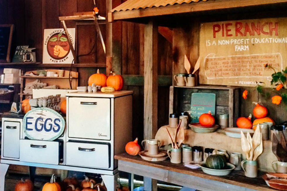 Farm Animals, Potluck, and Barn Dancing at Pie Ranch