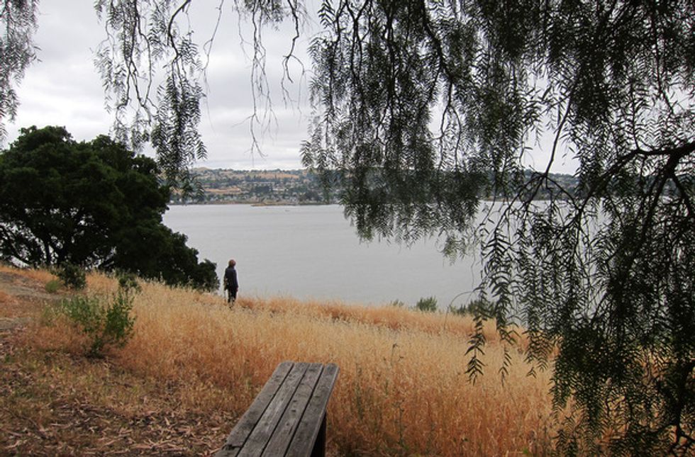 Hike to an East Bay Hidden Gem, Port Costa