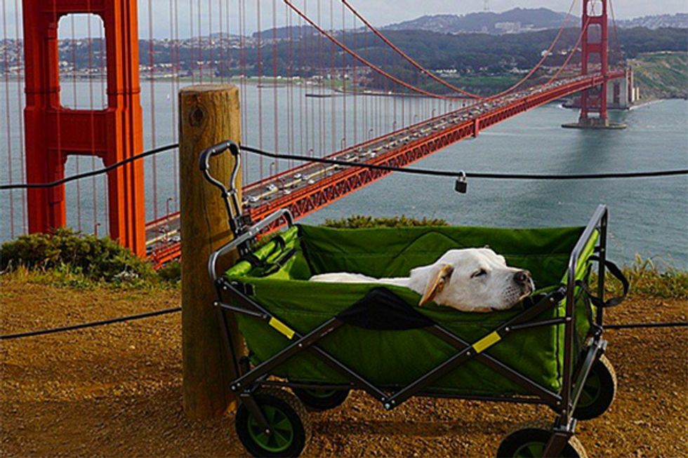 5 Topics Everyone Will Be Discussing Over Brunch