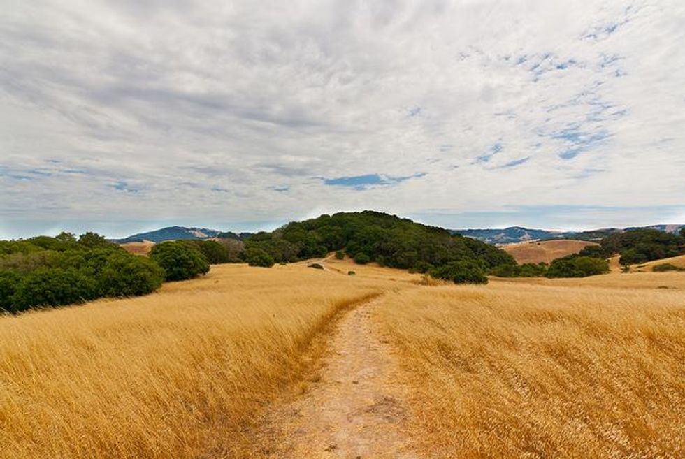 A Picturesque Hike in Dairy Country at Petaluma's Helen Putnam Park