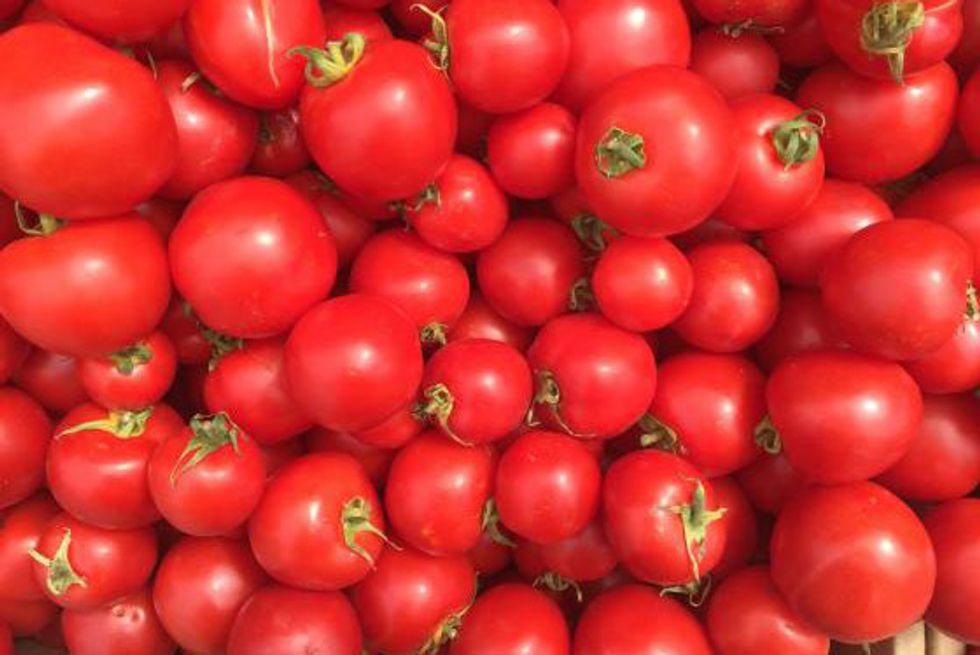 What's Fresh at the Farmers Market in August