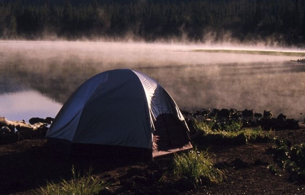 Heed the Call of the Wild and Learn Basic Survival Skills in Marin