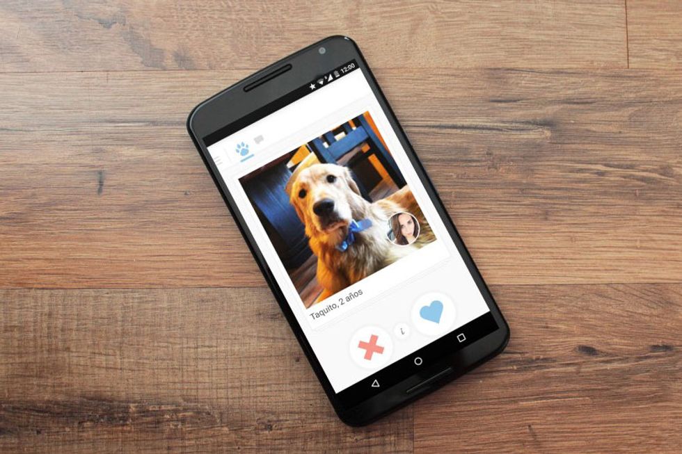 Today's Download: Tinder for Dogs