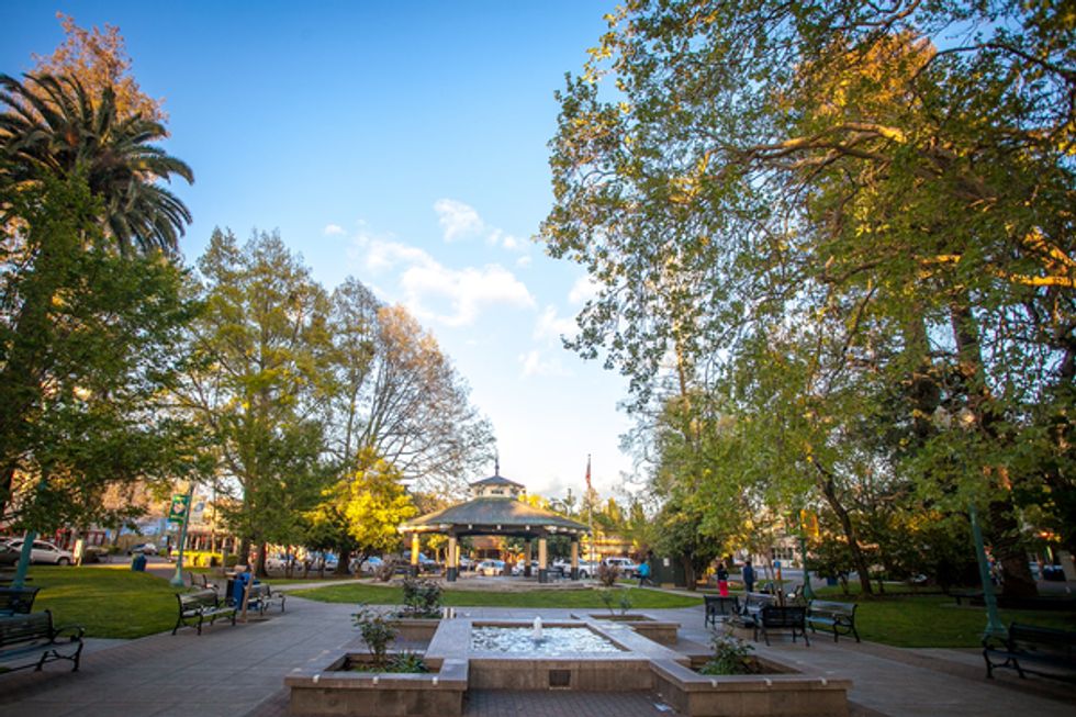 Ultimate Sunday Bike Ride: Smooth Roads and Gorgeous Views in Healdsburg