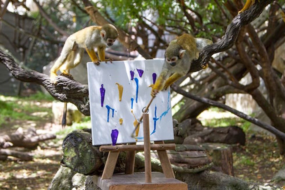 Masterpieces Painted by Oakland Zoo Animals Now Up for Auction