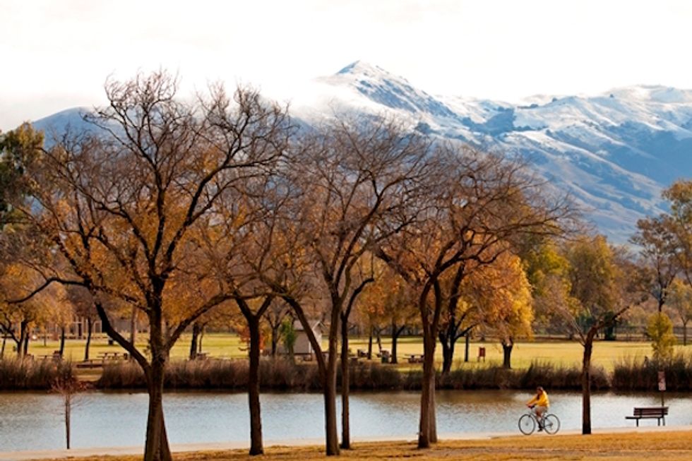 How to Spend 50 Perfect Hours in Fremont