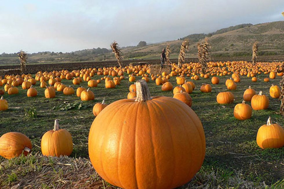 5 Topics Everyone Will Be Discussing Over Brunch