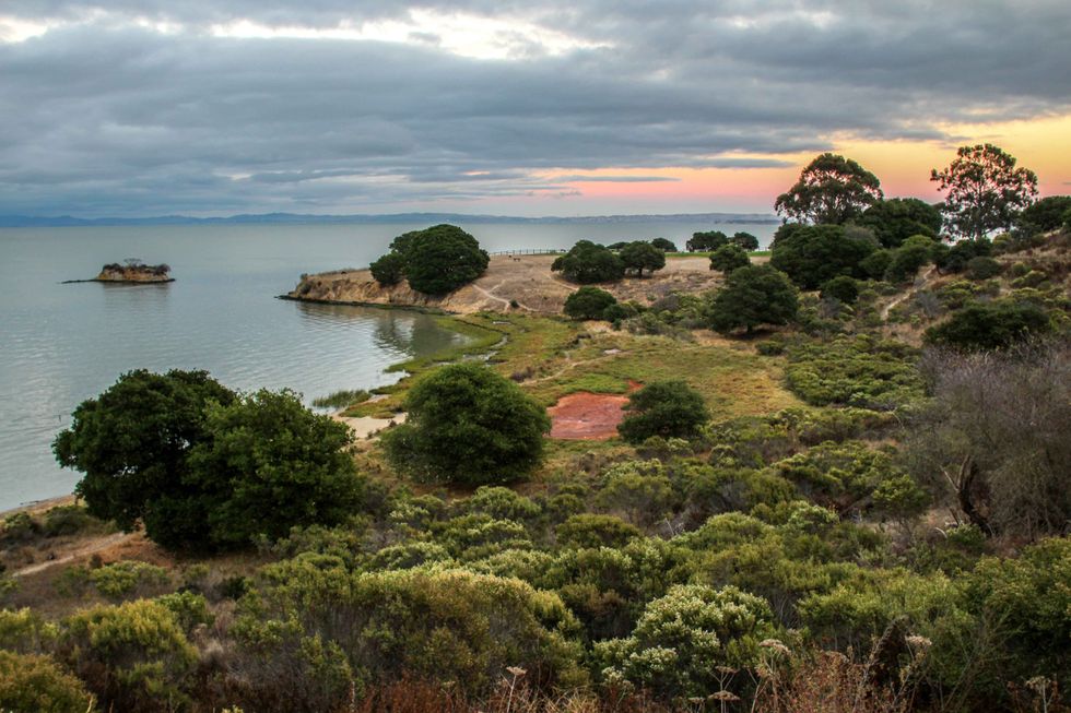 How to Spend 50 Perfect Hours in San Rafael