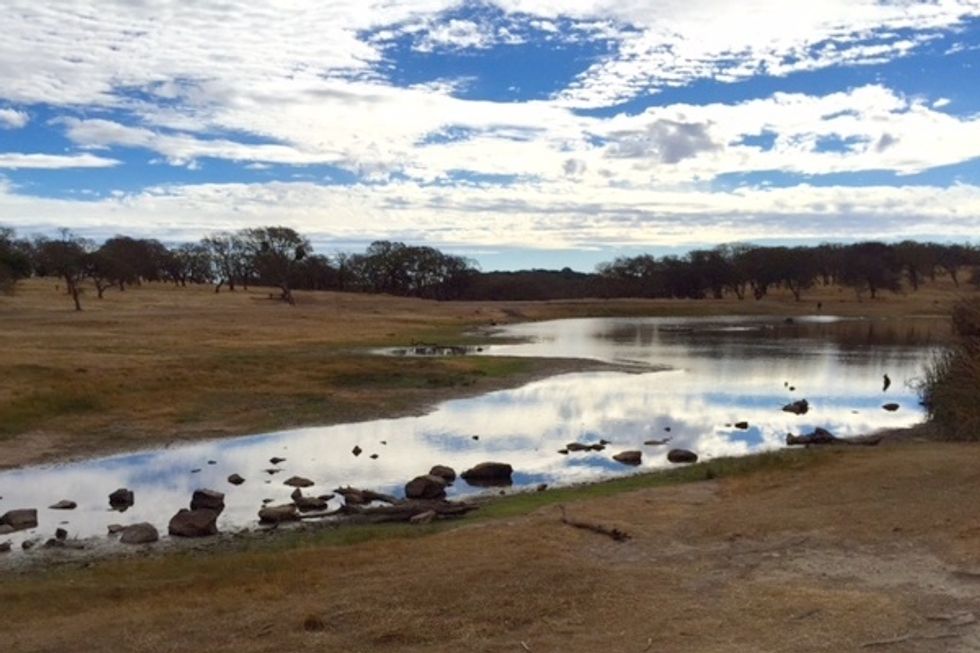 Ultimate Sunday Hike: A Romp Around Rockville