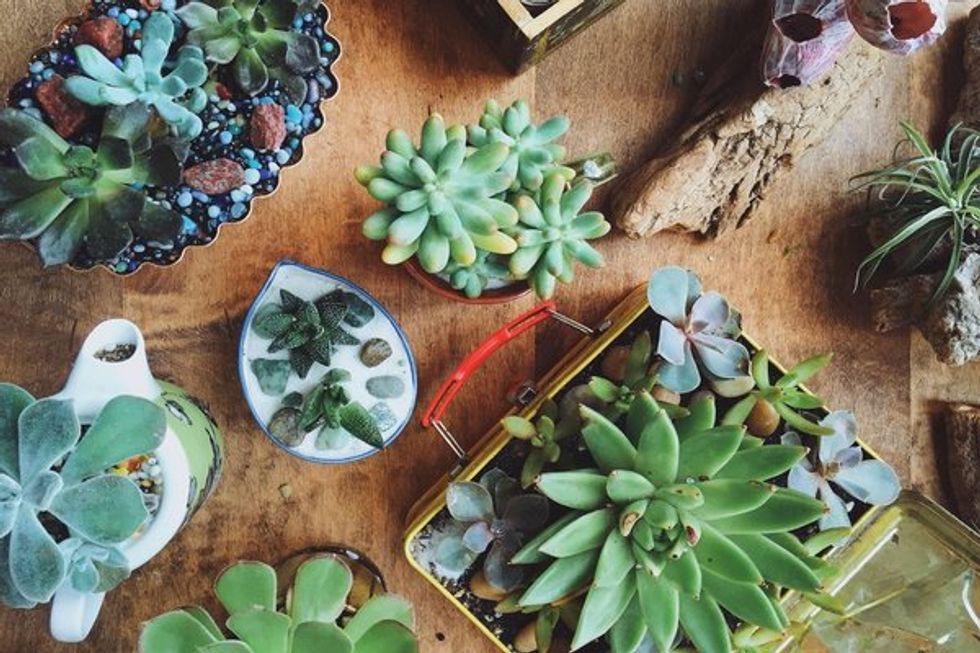 Shop Local at These Bay Area Holiday Pop-Ups