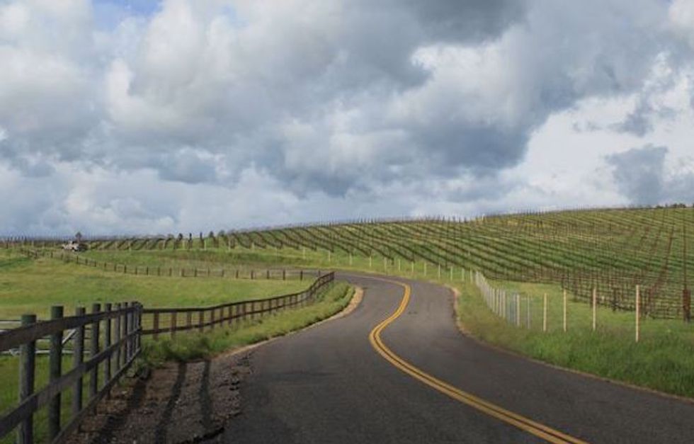 Holiday Bike Ride: A Loop Around Sonoma Mountain
