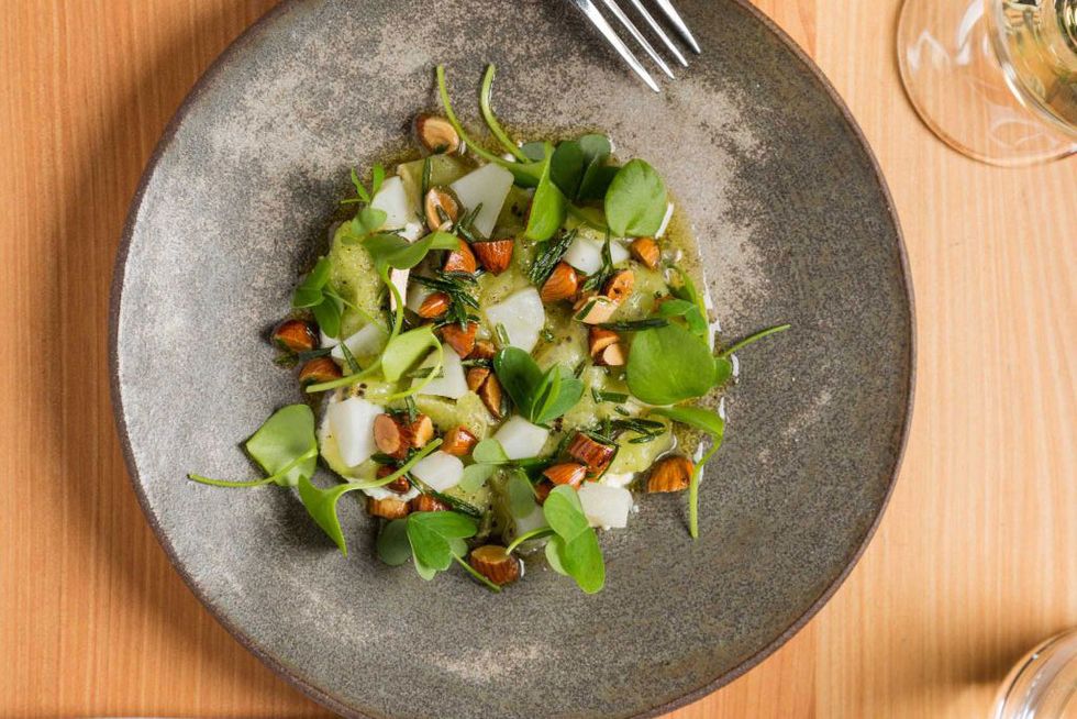 Secret Recipe: The Progress' Fresh Ricotta and Kiwi Salad