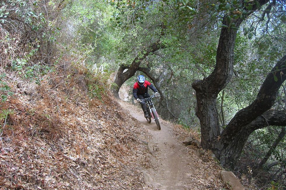 Spend Your Lunch Hour Outside on this Quick Mountain Bike Excursion