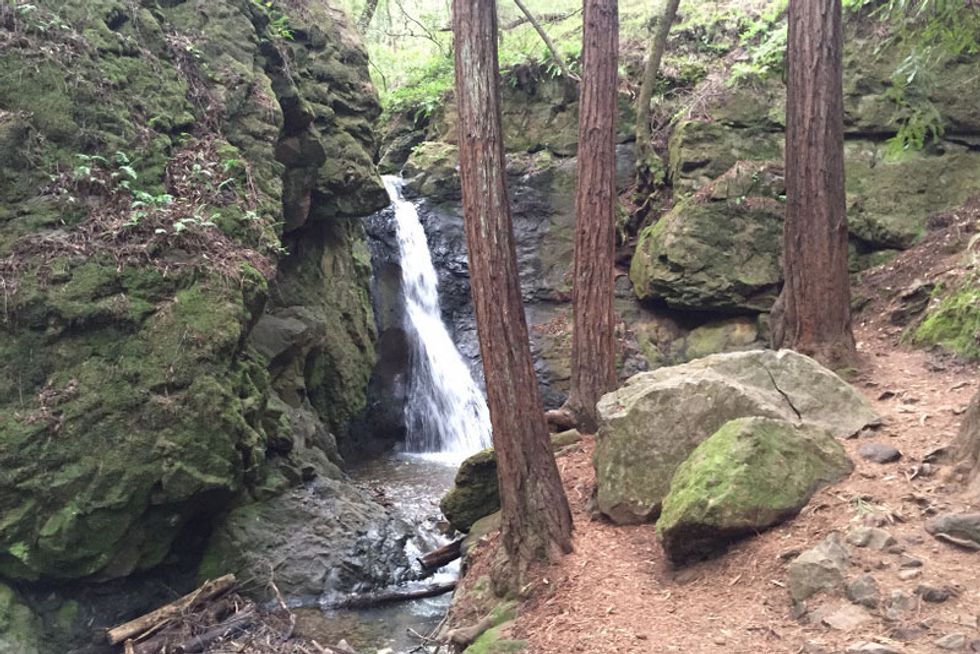 Discover Mill Valley’s Cascade Falls, a Bay Area Gem