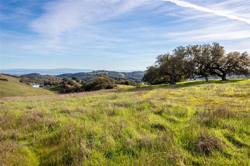 Explore Napa’s Hidden Lovall Valley on a Picturesque Bike Ride