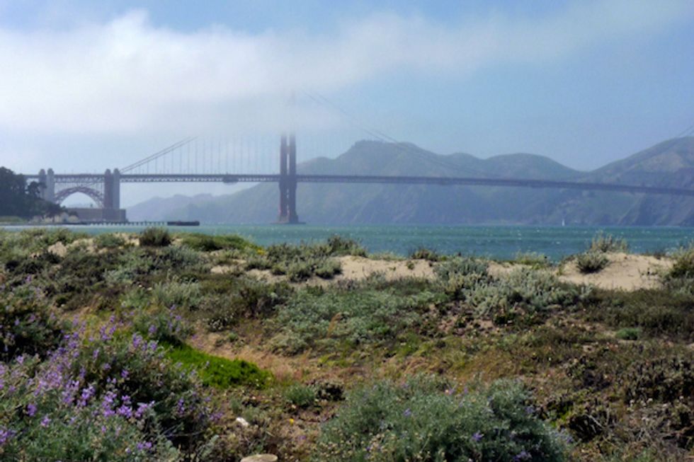4 Revitalizing Lunch-Hour Hikes to Try in San Francisco