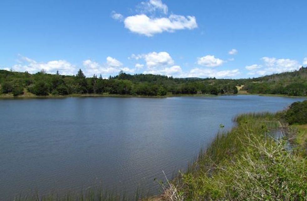 Embrace the Warm Weather With a Stroll Around Lake Ilsanjo
