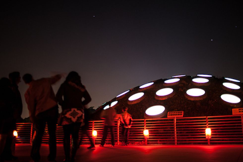 Weekend Guide: Brainiac Trivia at Cal Academy + East Bay Art Galore