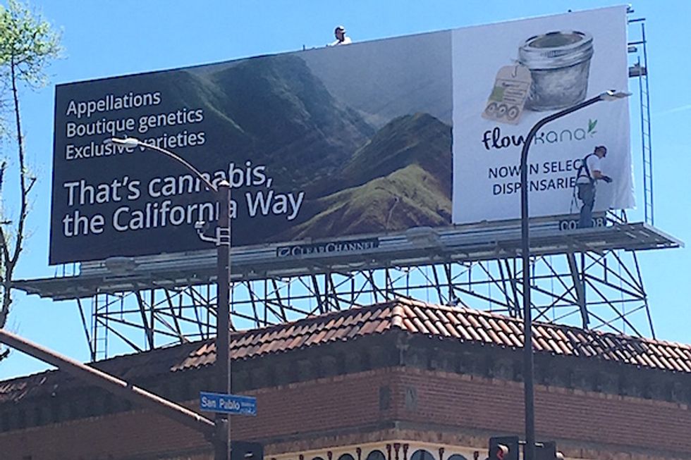 Cannabis Advertising Sprouts up on Bay Area Billboards and Buses
