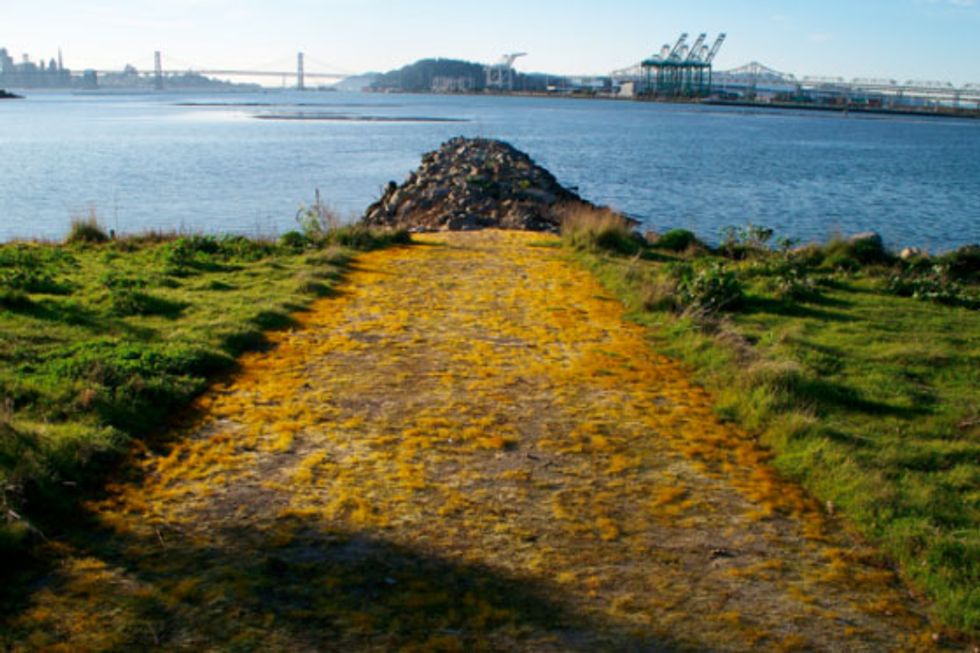 Ready, Set, Run: 4 Excellent Long-Distance Running Routes in the East Bay