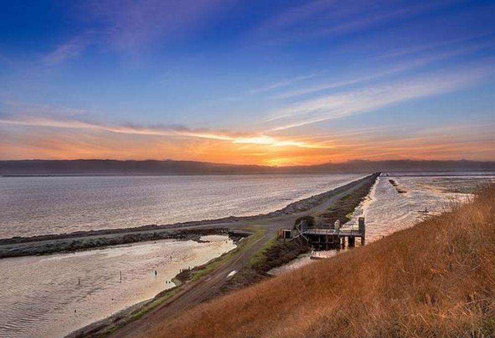 Take a Stroll Around Coyote Hills Regional Park in Fremont