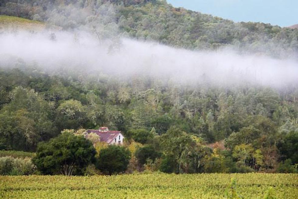 5 Chiles Valley Wineries Are a Chill Antidote to Touristy Napa