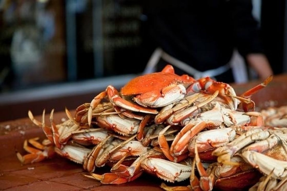Foodie News: Homage Opens in FiDi + All You Can Eat Crab Fest