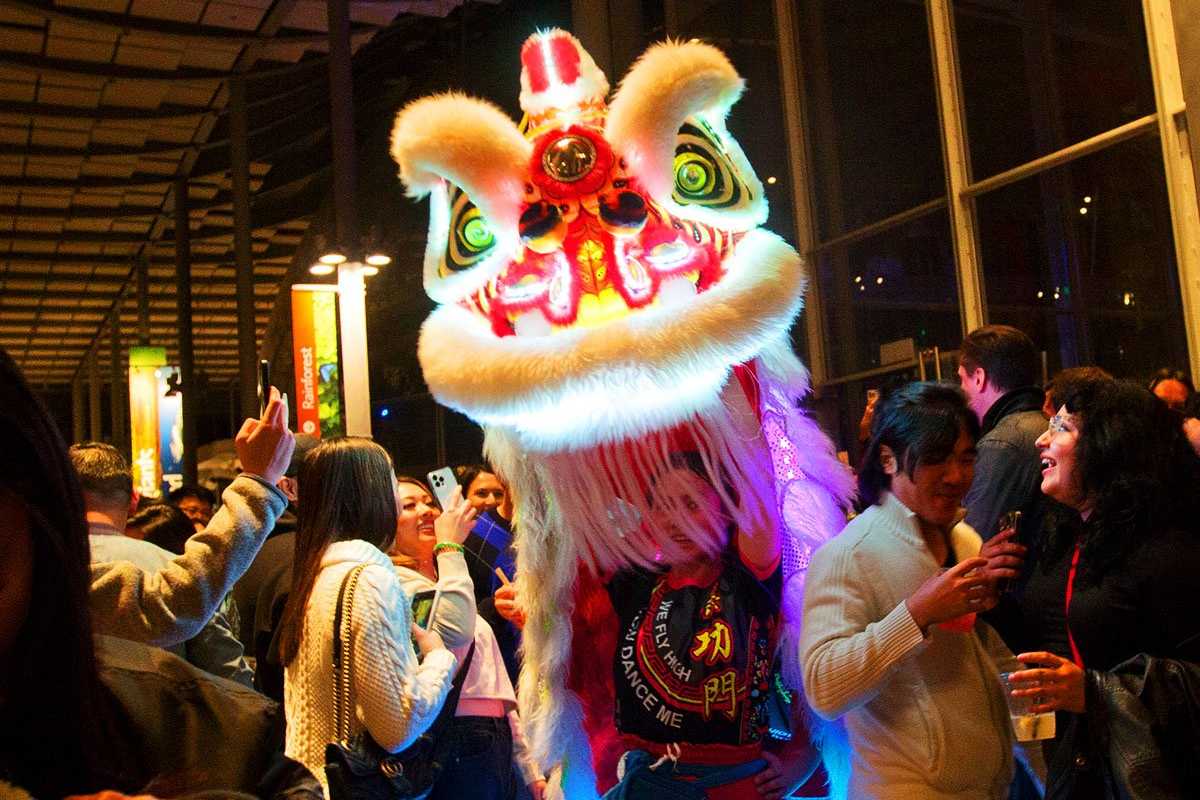 24 Fun Things to Do This Week (1.27.25)