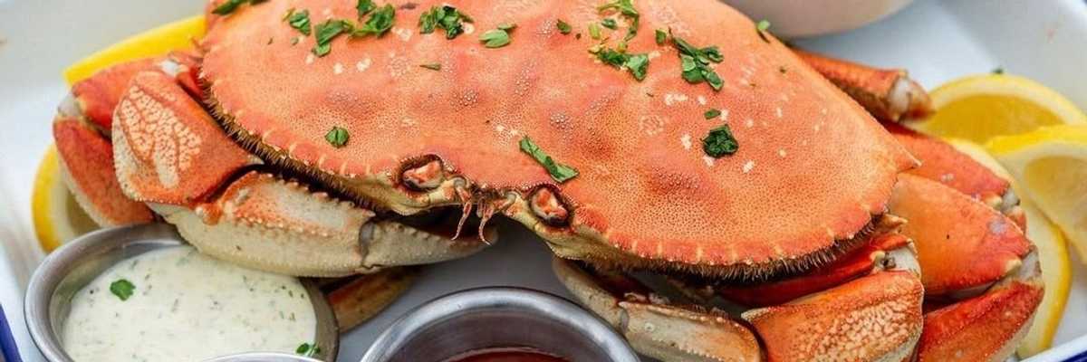 Where to Eat the Freshest Dungeness Crab, from Marin to Mendocino