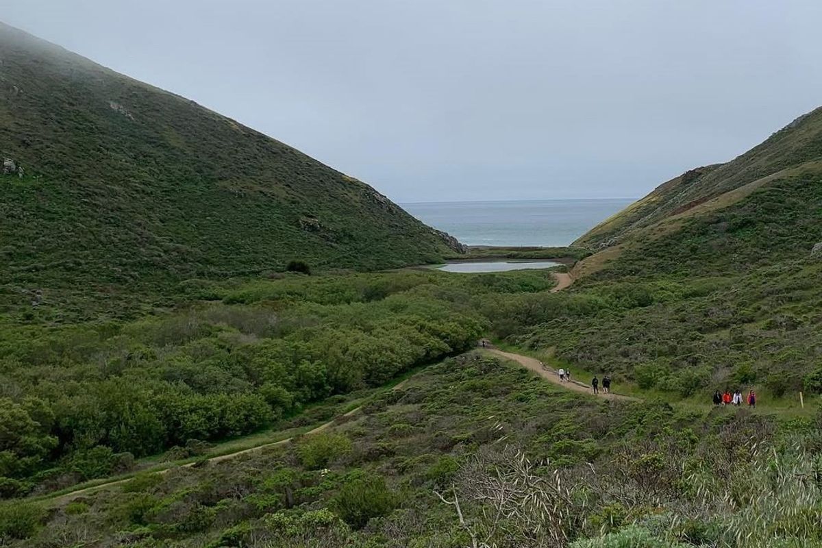 There are no steep hills to climb on these 5 easy(ish) Bay Area hikes.