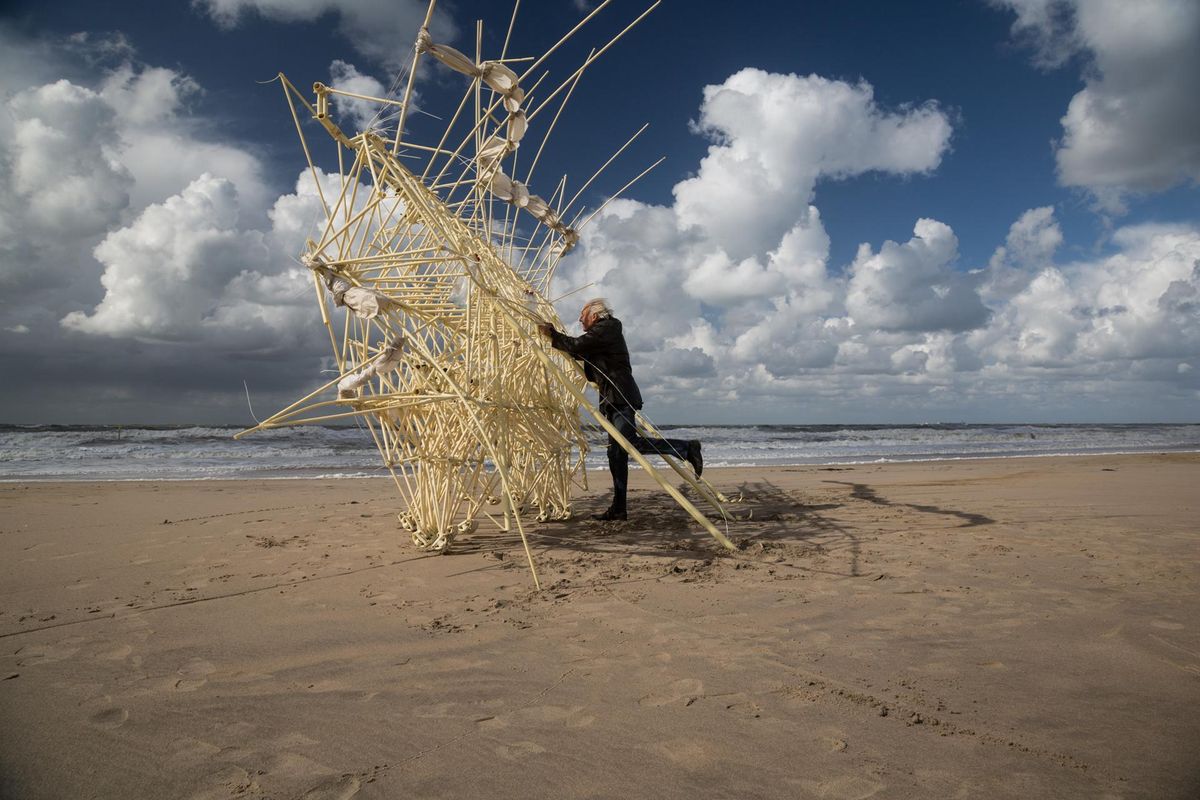 Experience Strandbeests, the Wind-Powered Walking Sculptures on View at the Exploratorium