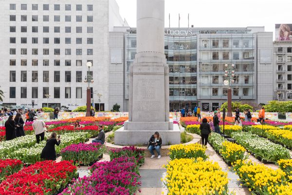 24 Fun Things to Do This Week (3.17.25)