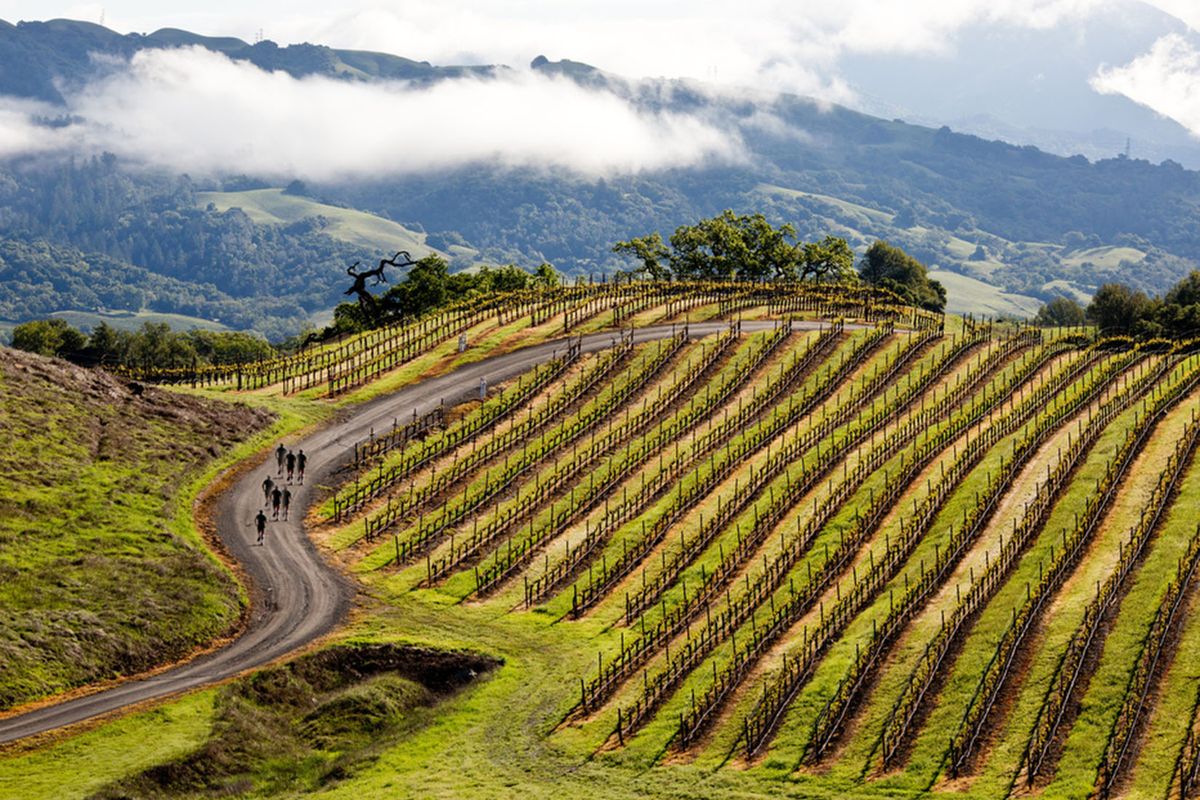 5 Vineyard Hikes That Are Just as Fun as Drinking Wine