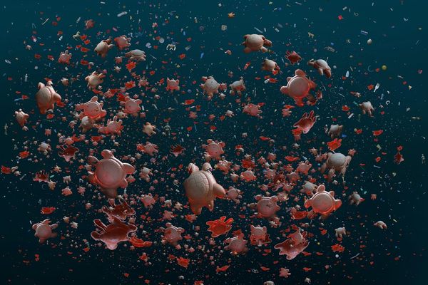 Climate change is 'In Plain Site' at Alameda Point's timely photography festival.