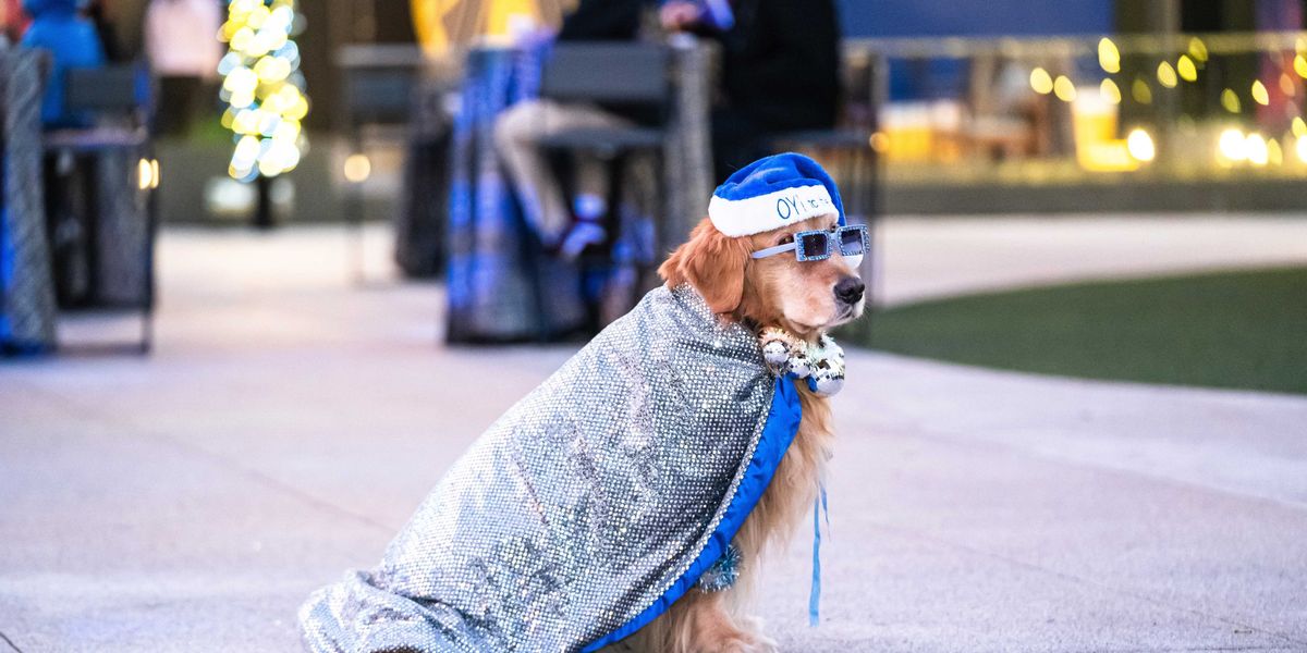 28 Fun Things to Do This Week (12.15.25)