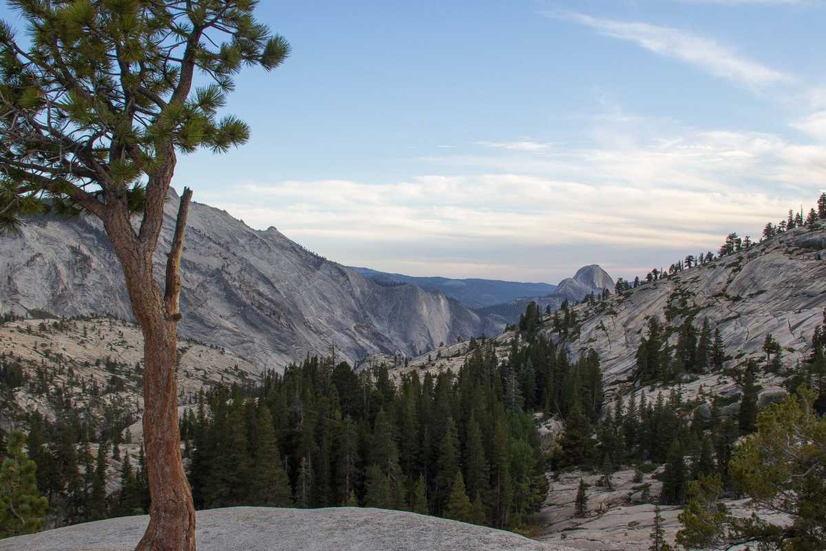 What You Need to Know About Camping in Yosemite (Including When to Book)