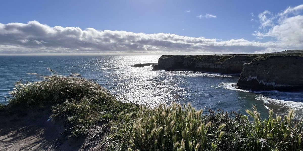 Local Hiking Expert Ann Marie Brown's 7 Favorite Under-the-Radar Trails in the SF Bay Area