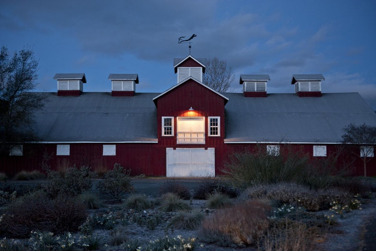 5 Delicious Wineries to Check Out on Rutherford Cross Road