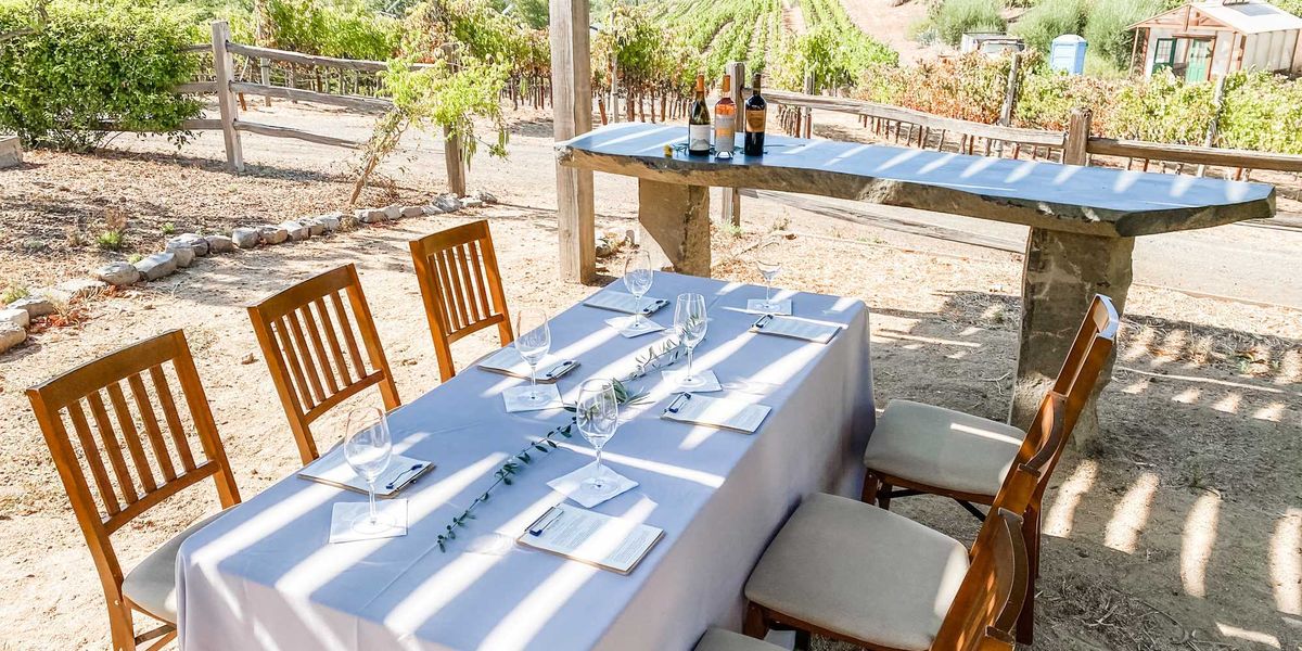 This month-long event makes wine tastings at 50+ Sonoma wineries, shops, and hotels just $15.