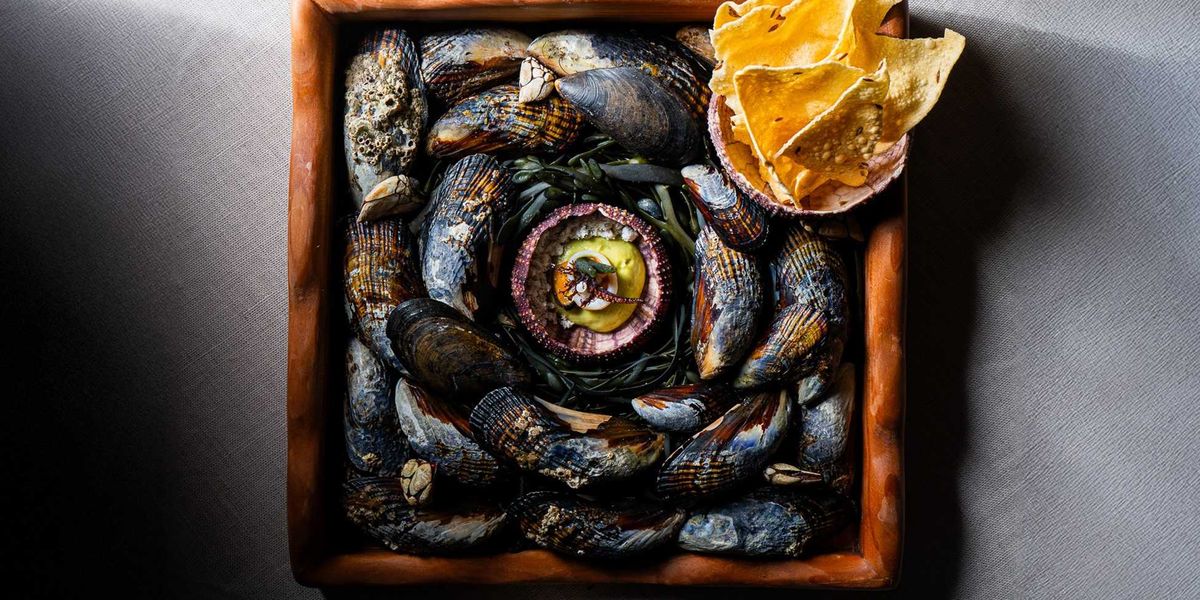 First Taste: Vicinity in Los Gatos is an impressive, autobiographical odyssey from NY to California.